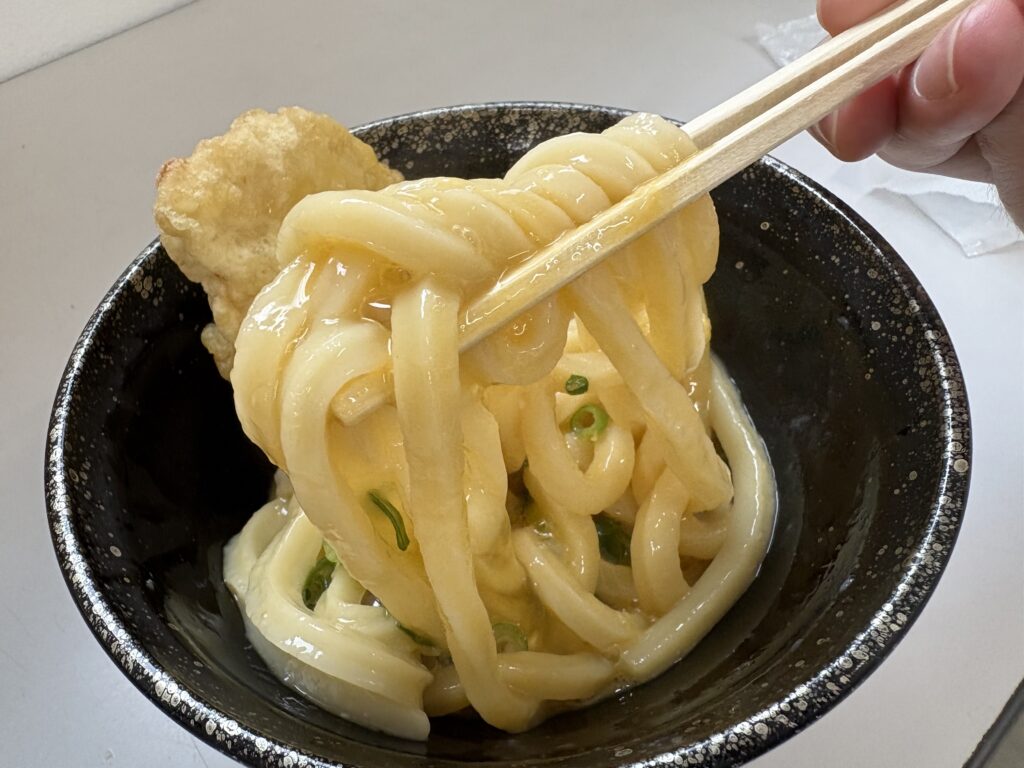 須崎食料品店うどんレビュー